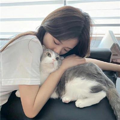 分歧者